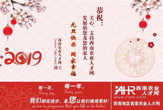 r(nng)I(y)˲žW(wng)ף2019Ԫ옷(l)~