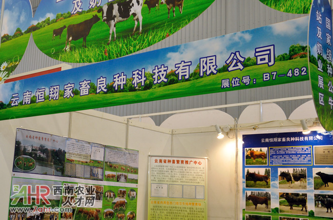 2013�Ї�(gu��)��Ϲ��I(y��)չ�[��(hu��)չλ�،�:���Ϻ���������N�Ƽ����޹�˾