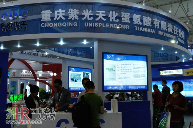 2013�Ї�(gu��)��Ϲ��I(y��)չ�[��(hu��)չλ�،�:�ؑc�Ϲ��컯����������؟(z��)�ι�˾