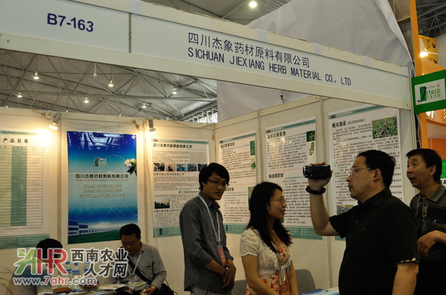 2013�Ї���Ϲ��I(y��)չ�[��չλ�،�:�Ĵ�����ˎ��ԭ�����޹�˾