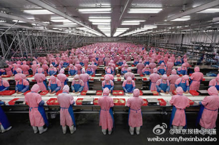 資料圖:吉林省德惠市德大雞肉加工廠內(nèi)部場景