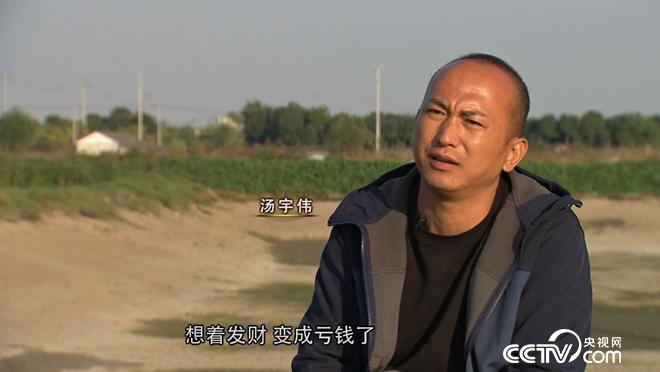 浙江省湖州市湯宇偉養(yǎng)羅氏沼蝦