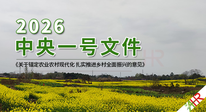 2026������1̖(h��o)�ļ�ȫ�İl(f��)��